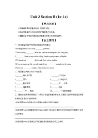 人教版（2024）八年级上册（2024）Unit 3 Same or Different? Section B 1a-1e学案