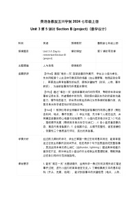 初中鲁教版（五四学制）（2024）Unit 3 A Day to Remember Section B教案