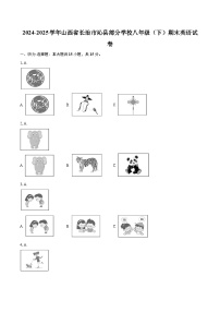 2024-2025学年山西省长治市沁县部分学校八年级（下）期末英语试卷-自定义类型