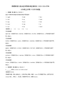 新疆维吾尔自治区阿勒泰地区福海县2025-2026学年七年级上学期9月月考英语试卷（解析版）