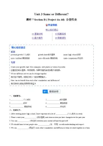 初中英语人教版（2024）八年级上册（2024）Unit 3 Same or Different? Section B Project精品课后作业题