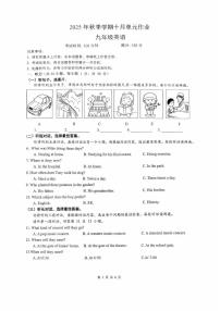 广西南宁市天桃实验学校2025-2026学年九年级上学期10月月考英语试题