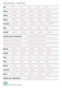 人教新目标版2024秋七上Starter Unit 3(Primary Vocabulary)英语单词衡水体练字帖可打印电子版