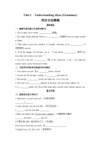 初中英语外研版（2024）八年级上册（2024）Understanding ideas综合训练题