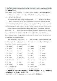 广东省深圳市罗湖区翠园初级中学2024-2025学年九年级上学期期中英语试卷含答案