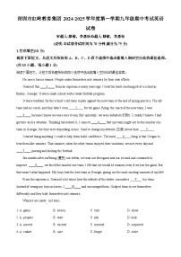 精品解析：广东省深圳市红岭教育集团2024-2025学年九年级上学期中考试英语试题含答案