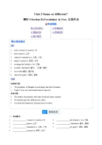 初中英语人教版（2024）八年级上册（2024）Unit 3 Same or Different? Section B Vocabulary in Use精品综合训练题