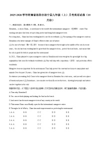 2025-2026学年河南省洛阳市洛宁县九年级（上）月考英语试卷（10月份）-自定义类型