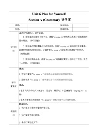 初中人教版（2024）Unit 6 Plan for Yourself Section A Grammar Focus学案
