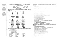 2025年哈尔滨市美佳中学八年级上学期英语期中试卷含答案