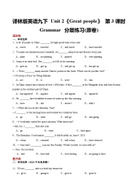 初中英语牛津译林版（2024）九年级下册Grammar优秀第3课时课时练习