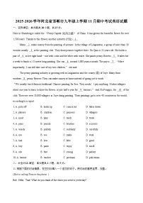 2025-2026学年河北省邯郸市九年级上学期11月期中考试英语试题-自定义类型