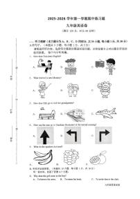 广东省东莞市虎门汇英学校2025-2026学年九年级上学期11月期中练习英语试题（含答案）