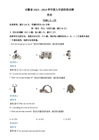 安徽省合肥市巢湖市九年级上学期期末考试英语试题（解析版）-A4