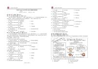 江西省宜春市丰城市第九中学2025-2026学年九年级上学期期中检测英语试题（日新班）