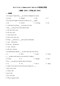 人教版（2024）八年级上册（2024）Unit 8 Let's Communicate! Section B习题