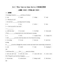 初中英语人教版（2024）八年级上册（2024）Unit 7 When Tomorrow Comes Section A同步练习题