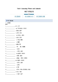 初中英语人教版（2024）八年级上册（2024）Unit 4 Amazing Plants and Animals Section A Pronunciation当堂检测题