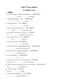 初中英语沪教牛津版（2024）七年级下册（2024）Section 3优秀随堂练习题