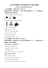 安徽省六安市裕安区第九中学2024-2025学年九年级上学期11月期中考试 英语试题