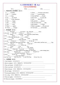 2024版人教版七年级上册英语期末语法专项练习每日一练含答案