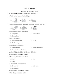 英语九年级全册Unit 13 We’re trying to save the earth!综合与测试练习