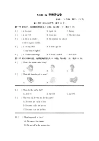 人教版（2024）九年级全册Unit 12 Life is full of the unexpected综合与测试当堂检测题