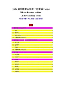 英语八年级上册（2024）Unit 6 When disaster strikesUnderstanding ideas随堂练习题