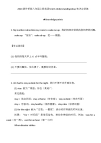 初中英语外研版（2024）八年级上册（2024）Understanding ideas当堂检测题