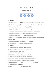 初中英语人教版（2024）八年级上册（2024）Unit 3 Same or Different? Section A 2a-2e精品复习练习题
