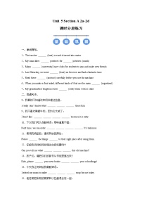 初中人教版（2024）Unit 5 What a Delicious Meal! Section A 2a-2d精品同步达标检测题