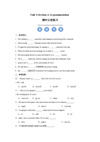 英语Unit 6 Plan for Yourself Section A Pronunciation精品同步达标检测题