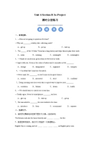 初中英语人教版（2024）八年级上册（2024）Unit 6 Plan for Yourself Section B Project优秀课时作业