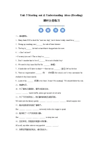 外研版（2024）八年级上册（2024）Understanding ideas优秀习题