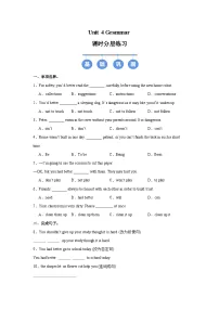 牛津译林版（2024）八年级上册（2024）Grammar精品同步练习题