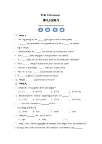 牛津译林版（2024）八年级上册（2024）Grammar精品课时练习