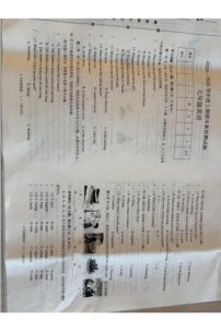河南省驻马店市新蔡县2024-2025学年七年级上学期期末素质测试英语试卷