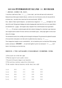 2025-2026学年河南省洛阳市伊川县九年级（上）期中英语试卷-自定义类型