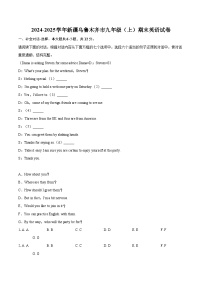 2024-2025学年新疆乌鲁木齐市九年级（上）期末英语试卷-自定义类型