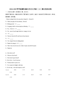 2024-2025学年新疆乌鲁木齐市九年级（上）期末英语试卷-自定义类型