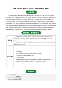 外研版（2024）八年级上册（2024）Understanding ideas教学设计及反思