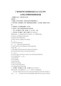 广西河池市环江毛南族自治县2024-2025学年九年级上学期期末检测英语试卷（学生版）