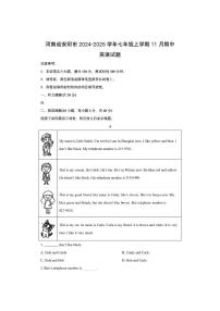 河南省安阳市2024-2025学年七年级上学期11月期中 (解析版)英语试卷