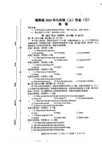 湖南省娄底市娄星区联考2025-2026学年九年级上学期12月月考英语试题
