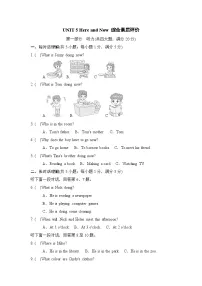 初中英语人教版（2024）七年级下册（2024）Unit 5 Here and Now达标测试