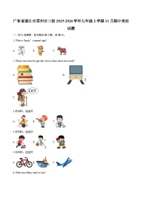 广东省湛江市雷州市三校2025-2026学年九年级上学期11月期中英语试题-自定义类型