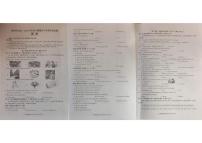 四川省凉山州2025-2026学年上学期八年级英语期末试题