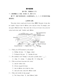 期中检测卷 （含答案）2026年春人教版（辽宁地区适用）英语七年级下册