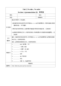 初中英语人教版（2024）七年级下册（2024）Unit 2 No Rules, No Order第2课时学案