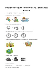 广东省潮州市饶平县校联考2025-2026学年八年级上学期期末质量检测英语试题-自定义类型